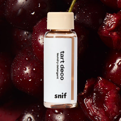 Tart Deco Everything Wash Sample