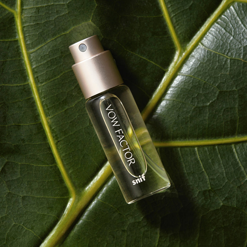 Professor Perfume Fragrance Bundle